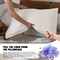 Linen King Size Pillow Cases Set of 2, 20'' x 30'' Envelope Overlap Closure King Size Pillowcase Covers, Soft Breathable Pillow Protector-White